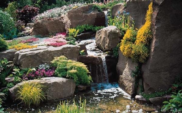 Rocks, flowers, water - beauty.....