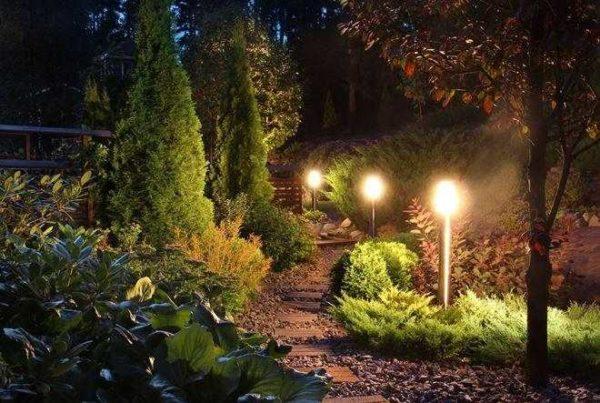 This kind of lighting can be done by using conventional lights and a cable between them or by installing solar-powered lights