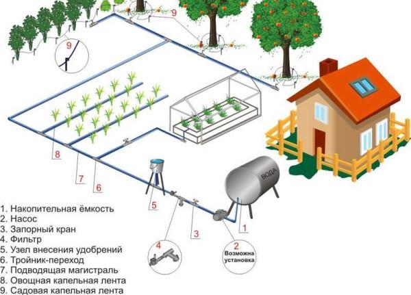 Watering the garden from a container