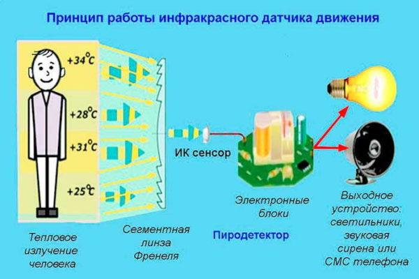 The operation of infrared motion sensors is based on tracking the heat generated by a person