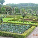 Clearly shaped beds, their boundaries marked by border plantings