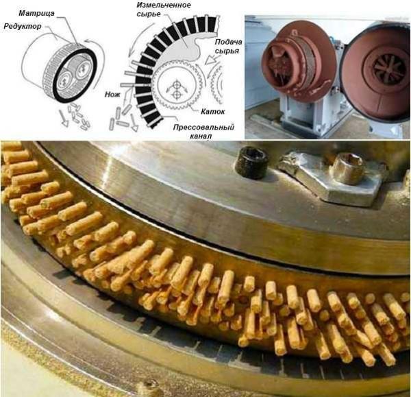 Cylindrical matrix granulator design