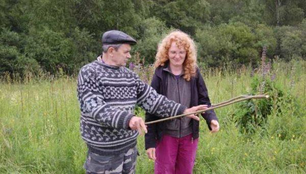 How to find water on the site with your own hands - so work with the vine 