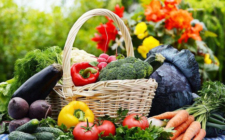 The vegetable garden harvest is laid in the fall