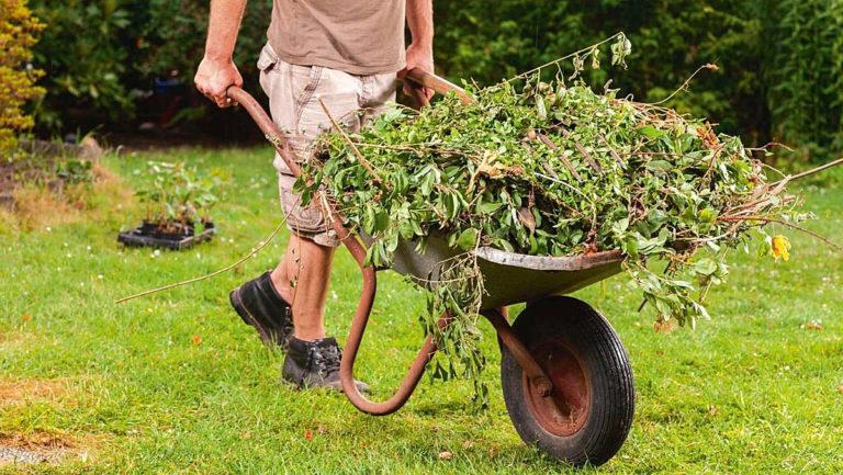 Winterizing the vegetable garden