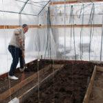 Digging up the soil in the greenhouse