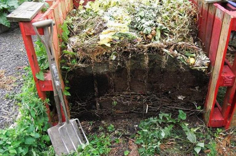 compost heap