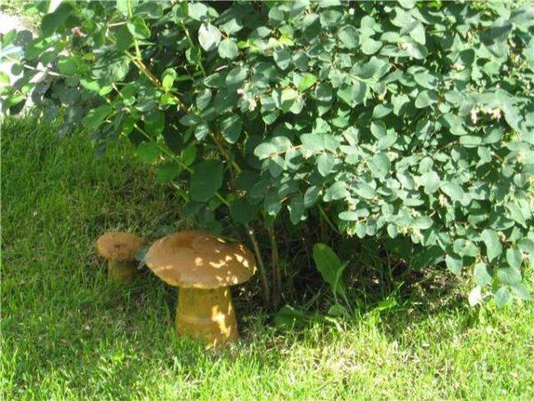 Concrete mushrooms - a plastic cup for the stem and a bowl for the cap. In the future cap, before the mortar has hardened, forge a cylindrical hole in the future cap - so that the stem goes in there. In this way, the fungus will look very similar to the real one