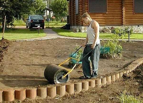 Rolling the lawn is an important step to identify irregularities 