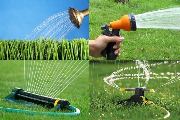 Lawn watering devices that can be purchased at the store