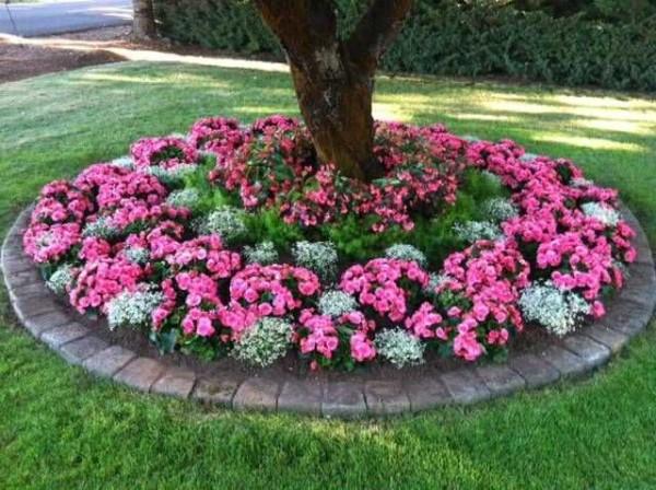 This is a flowerbed. It has a clear, strictly defined shape and geometrically correctly arranged plants