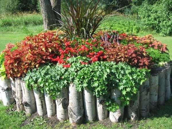 It's not exactly a tree, of course, but the idea is clear. Such garden flower beds are good for shade-loving plants