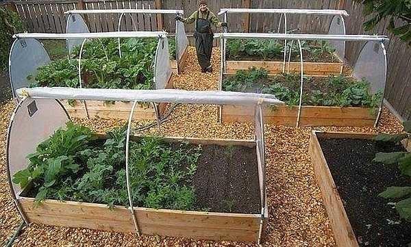 Simple greenhouse made of boards and PVC arches