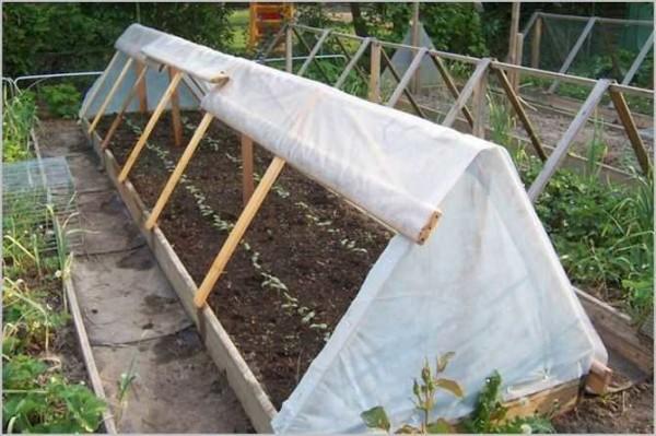 Triangular greenhouse made of boards