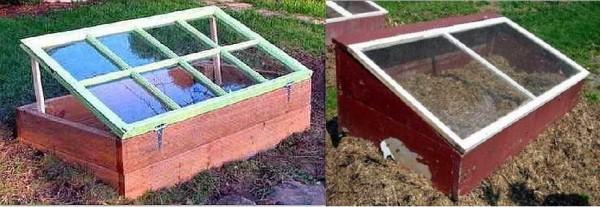 A simple frame greenhouse: a wooden frame to which an old window frame is attached on hinges