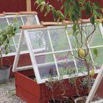 Two frames made into a house: plants are sheltered from draughts and the sides can be covered with foil