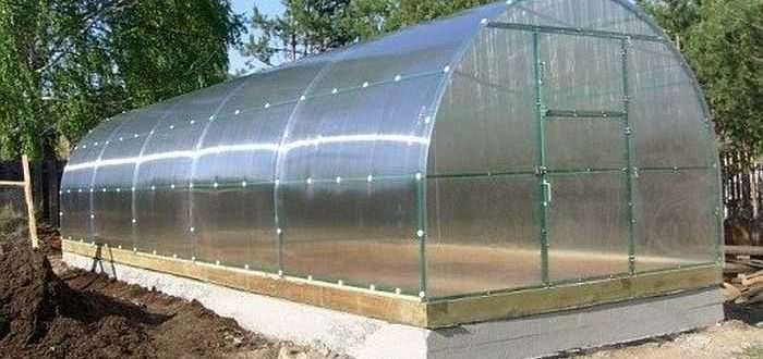 How to make a polycarbonate greenhouse