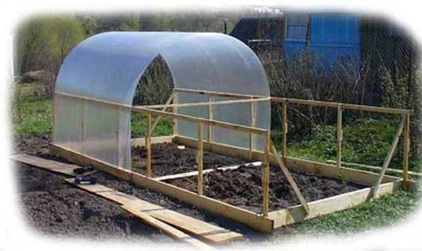 Such a greenhouse from polycarbonate with their own hands is the easiest to make. But it is a seasonal option