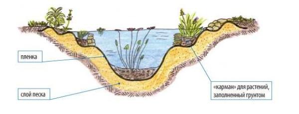 How to make the bottom for plants correctly. Arranging the pond will be easier if you make ledges at different levels, lay out stones, pour some soil into them 