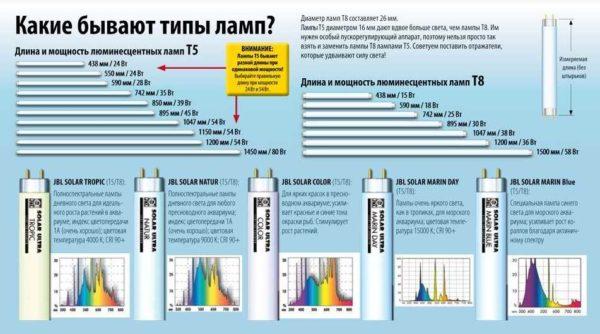 Some more fluorescent bulbs for the aquarium, their sizes and lengths