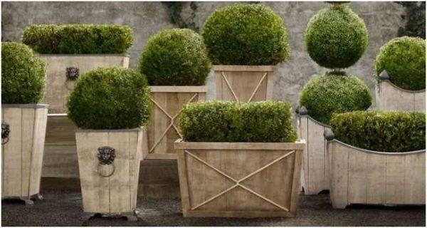 Wooden flowerpots made of planks