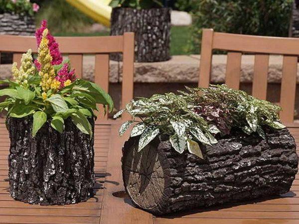 Sections of tree trunks make excellent decorative outdoor flowerpots