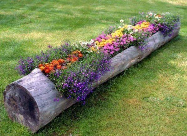 Flowerpots made from tree stumps and trunks can be of different sizes