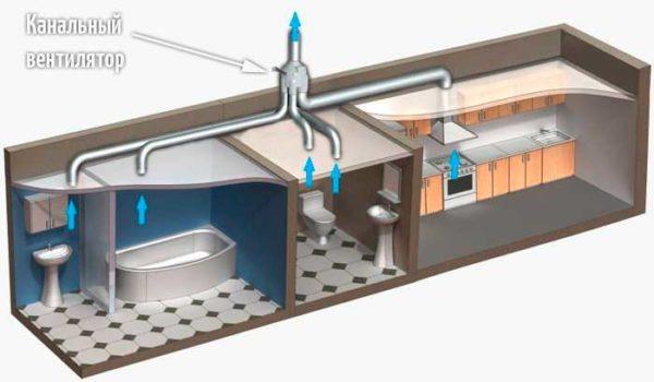 This is how you can organize exhaust ventilation in a house or apartment. It is only necessary to take into account that 