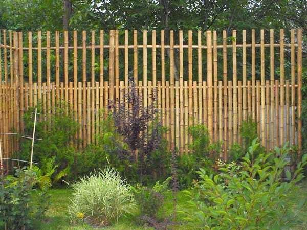 Ordinary fencing with a non-standard approach also looks good