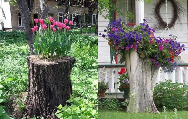 And even a tree stump on a spring day.....