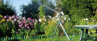 How to choose a pump for watering a vegetable garden