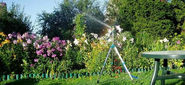 How to choose a pump for watering a vegetable garden