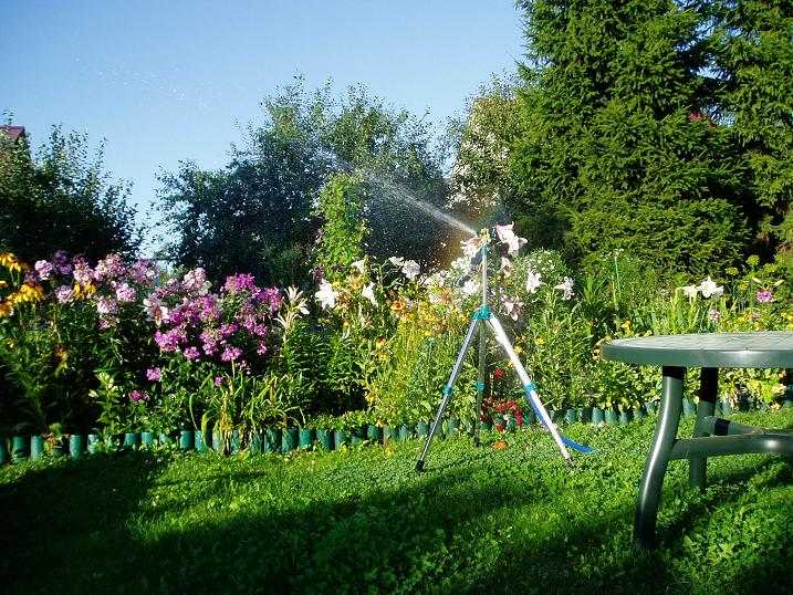 How to choose a pump for watering a vegetable garden