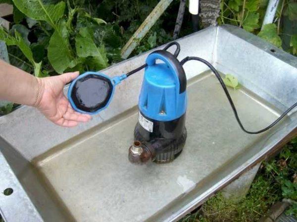 This float cuts power to the pump when the water gets low