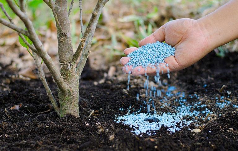 Replenishing trees in the garden