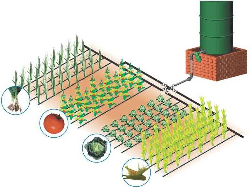 Drip irrigation in the greenhouse and vegetable garden with your own hands