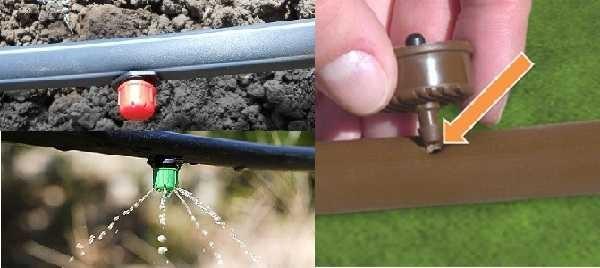 Separate drippers that are installed in the hose are more convenient to use when watering shrubs, grapes and trees