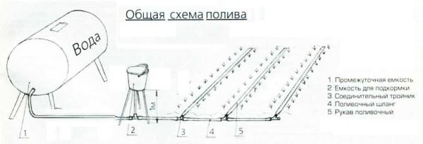 Diagram of gravity type drip irrigation