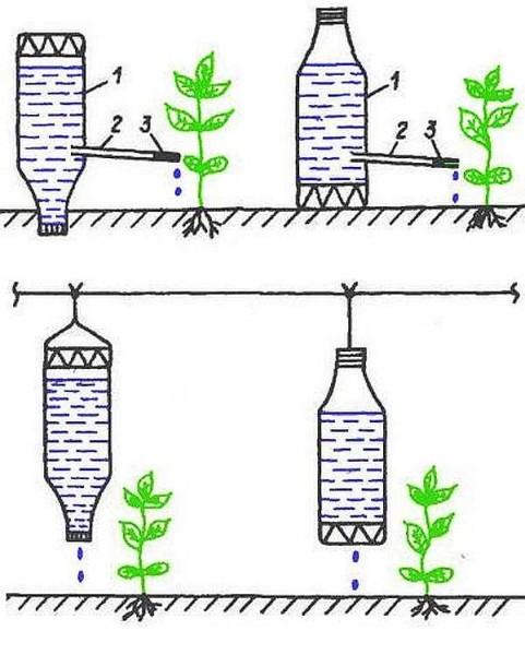 Drip irrigation from plastic bottles