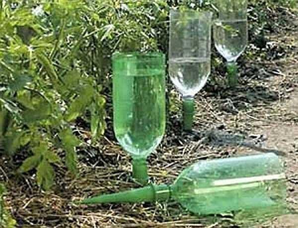 How to make drip irrigation at the dacha from bottles