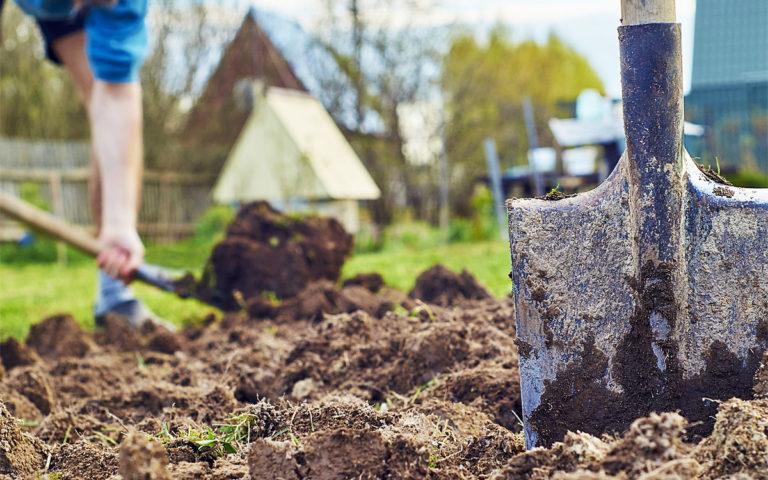 Digging the vegetable garden with a shovel