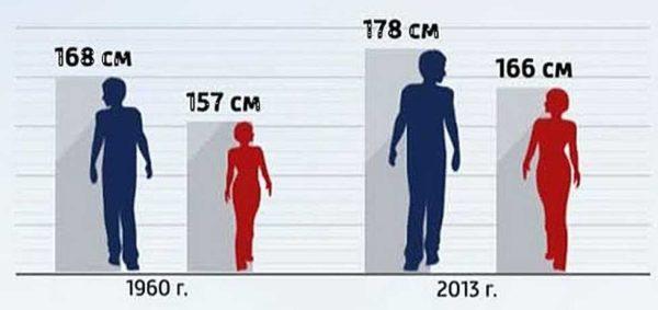 Statistics on the average height of Russians 