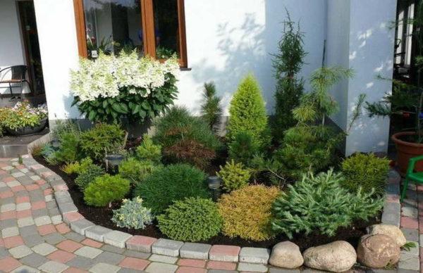 Plant selection rules: tallest plants near the wall or fence, farther away - lower plants