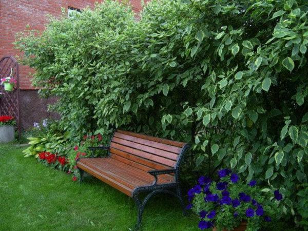 Set up benches in cozy corners 