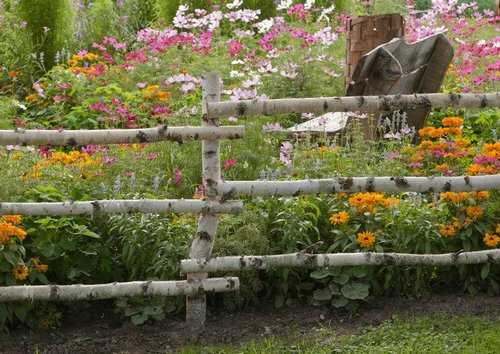 Birch twig fence