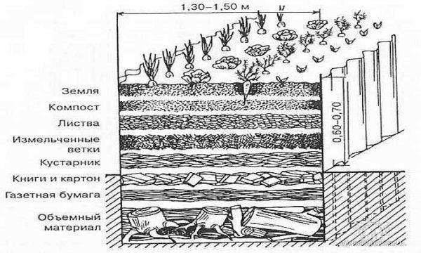 One of the beds for the smart vegetable garden: the high bed