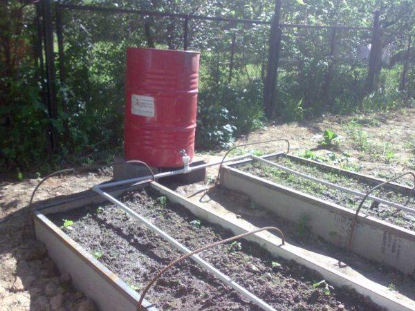 Homemade drip irrigation system from polymer pipes, water source - barrel