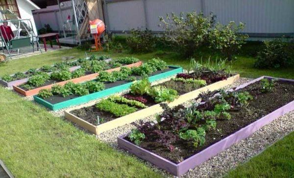 Nutrients are added to smart beds when they are planted