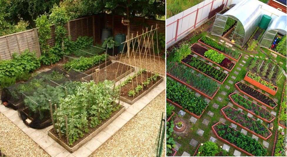 Planning a vegetable garden for planting - do it correctly and beautifully