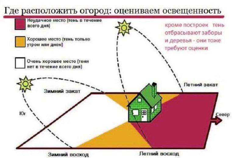 How to choose a place on the plot for a vegetable garden